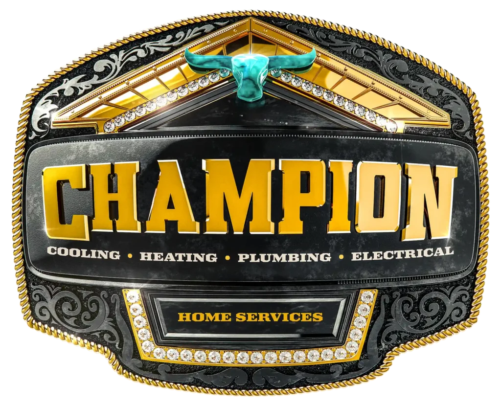 champion belt buckle